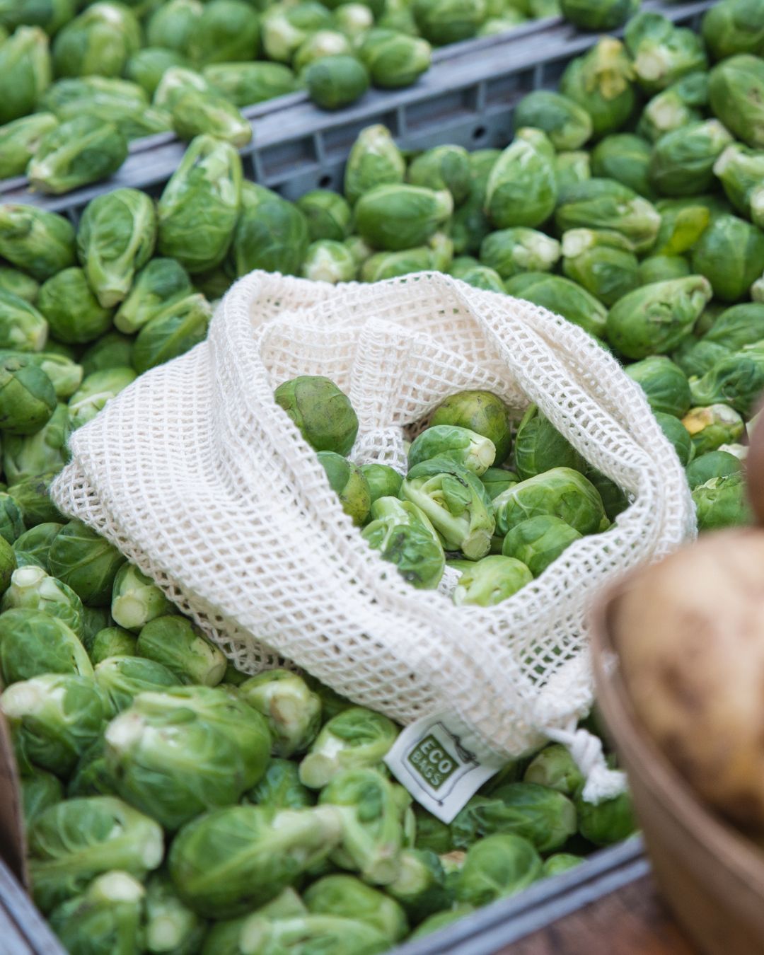Organic Cotton Mesh Sack | Medium.
