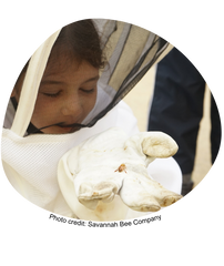 Young girl in beekeepers gear